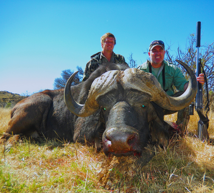 Greater Kudu