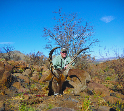Hunting gallery image 14