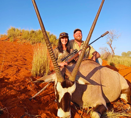 Blue Wildebeest